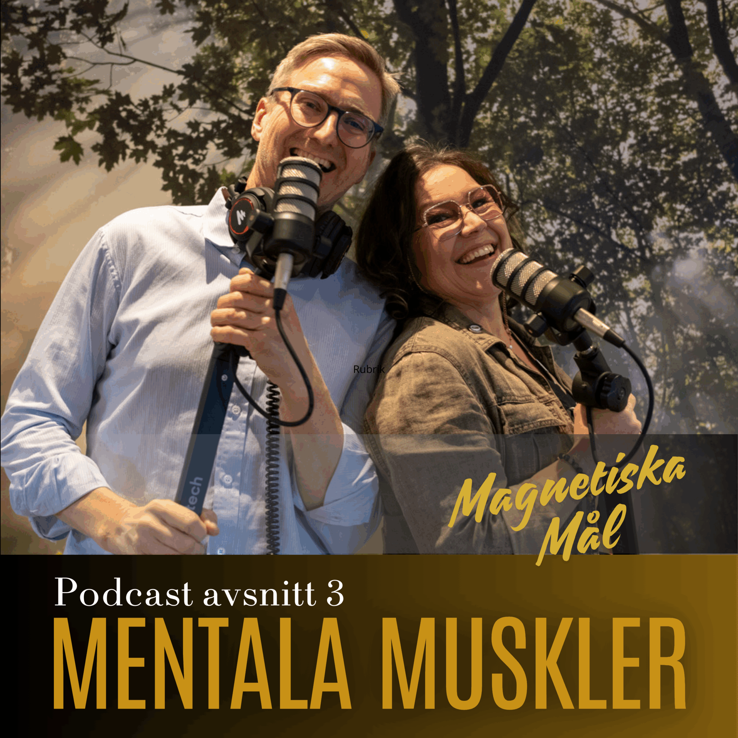 Avsnitt 3 – Magnetiska mål